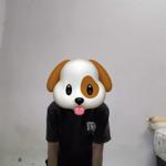 Slave Almond in Malaysia Johor Baharu