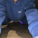 Slave DogSubboy25 in Netherlands Amersfoort