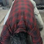 Slave Doug_E_Fresh in United States Des Moines