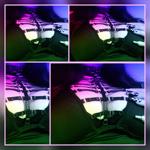 Dominatrix Mistress_Roxy in South Africa Johannesburg