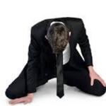 Slave Pkl in India Indore