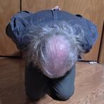 Slave Slavemutt in United States Billings