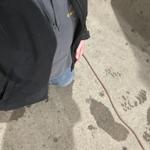 Slave cotoy in United States Portland