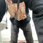 Slave kls2 in United States Henderson