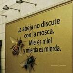 Slave matthew1996 in Slovenia Ljubljana