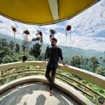 Master painmuster in India Abohar