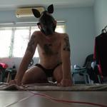 Slave pup_coco in Thailand Bangkok